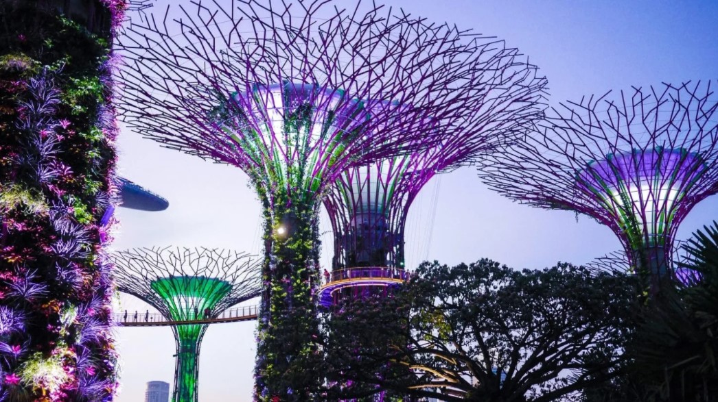 Looking for a Photo Spot in Garden By The Bay? Check This Recommendation